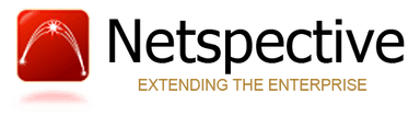 Netspective Logo